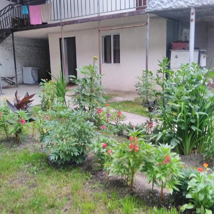 Гостевой дом Guest House Maria Местиа-15